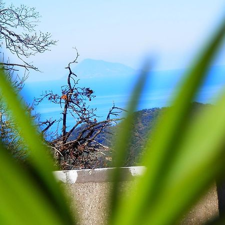 Al Fakhar Bed and Breakfast Ficarra Exterior foto
