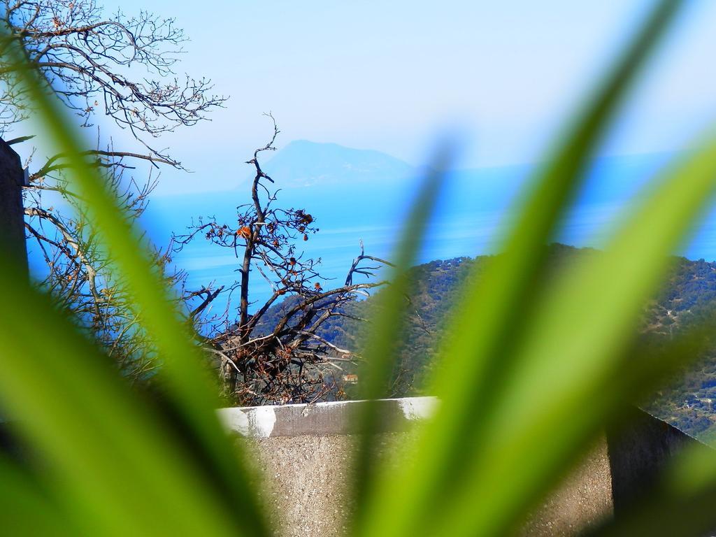 Al Fakhar Bed and Breakfast Ficarra Exterior foto