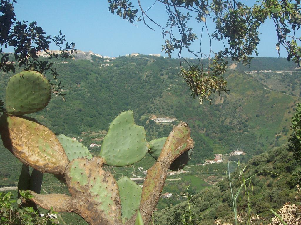 Al Fakhar Bed and Breakfast Ficarra Exterior foto